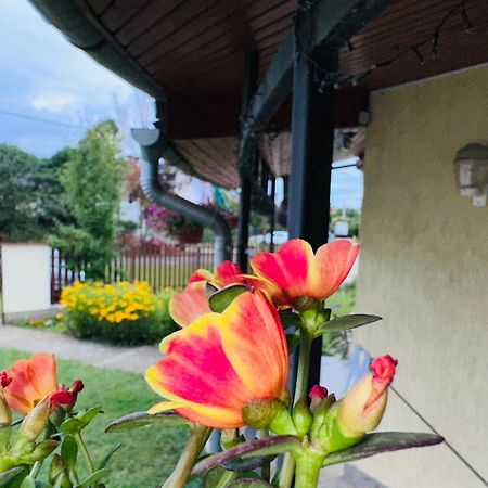 Cozy Garden Apartman Apartment Гюла Екстериор снимка