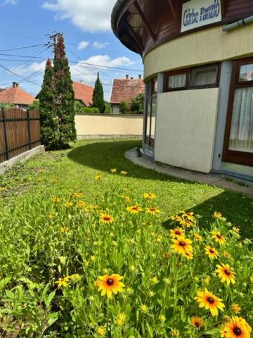 Cozy Garden Apartman Apartment Гюла Екстериор снимка